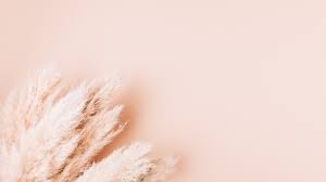 New surveys are loaded for each company throughout the day, and there are usually peak times that are easier to get surveys than others. House Of Flowers Home Facebook