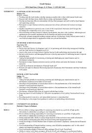 senior audit manager resume samples