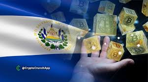 Commonly used as cash and credit. F6g8pbmqgc Qcm