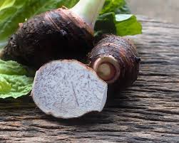 Check spelling or type a new query. How To Grow Taro