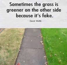 The Grass Is Always Greener On The Other Side Grass Ain T Always Greener In 2020 Lessons Learned In Life Wise Quotes Grass