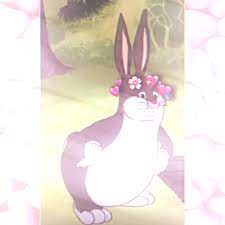 Pin On Big Chungus