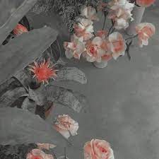 Tons of awesome aesthetic red 4k wallpapers to download for free. Pink Grey Aesthetic Gray Aesthetic Aesthetic Colors Pastel Aesthetic