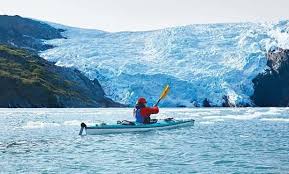 Image result for White Gold 2017 Expedition