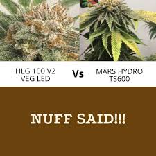 This grow light has a total of 3,336 samsung and osram diodes! Horticulture Lighting Group Uk Eu On Twitter Hlg 100 Veg Light Vs Mars Hydro Ts600 Full Cycle Flowering Lamp Winner Hlg 100 V2 For The Best Led Grow Light For Small Plants