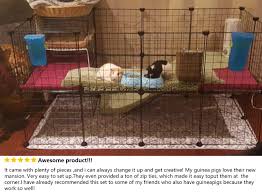 Pin On Small Animal Cage