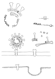 We did not find results for: The Paris Review How To Draw The Coronavirus The Paris Review