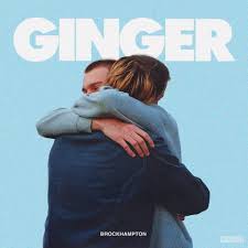 Brockhampton Ginger Tshirt Music Album Cover Cool Album Covers Music Wall