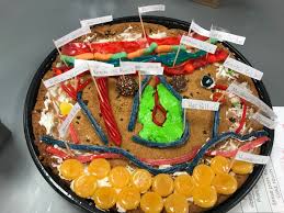 We did not find results for: Kristen Akers On Twitter I M So Blown Away And Inspired By The Work Quality Shown In Anatomy This Week And Even More My Students Openly Enjoyed Working On It Teacher Heart Happy Today