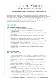 dot net developer resume samples