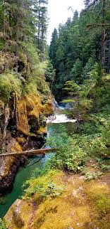 Check spelling or type a new query. Ohanapecosh Silver Falls Loop Trail Washington State Washington State Silver Falls Nature