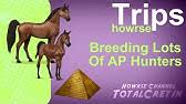 Breeding Rare Coats Howrse Trips Youtube