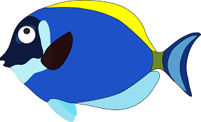 Ikan tuna png png image. Biru Kartun Ikan Gambar Vektor Gratis Di Pixabay