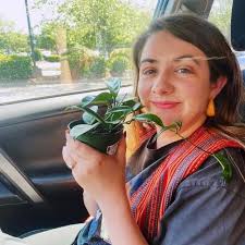 I just now realized that The White Lotus is cleverly named after its  creator, showrunner, screenwriter, director and executive producer Mike  White… WhiteLotus