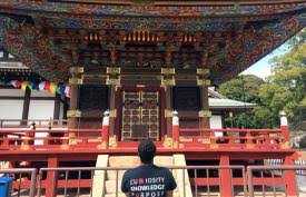 Blessed are the curious for they shall have adventures. Blessed Are The Curious For They Shall Have Adventures Lovelle Drachman Honors College