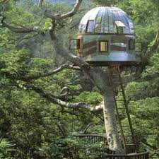 Nelson became excited about treehouses at the age of 5 when his dad built him a tree fort behind the garage of their ridgewood. Pete Nelson Net Worth