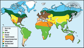 Biomes In The United States This Custom Request Set Of World Biomes Contains 20 Individual High Resolution 300 Dpi Maps All Maps Are Shown In The T Biomes Old World Maps Full World Map