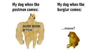 Check out onmuga (online multiplayer games). 20 Savage Yet Accurate Swole Doge Vs Cheem Memes 9gag