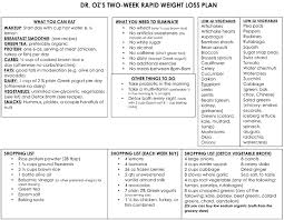 dr ozs rapid weight loss plan one sheet the dr oz show