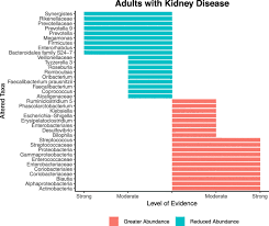 We, together with our associate firms have over 20 experienced qualified accountants and staffs, all of them carefully selected, nurtured, trained and motivated to serve our clients. The Gut Microbiota Profile Of Adults With Kidney Disease And Kidney Stones A Systematic Review Of The Literature Bmc Nephrology Full Text