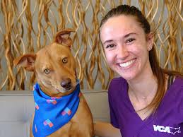 VCA Broadway Animal Hospital and Pet Center