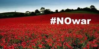 Image result for poppies meme
