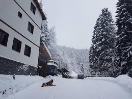 Contact direct pentru oferte de cazare la cele mici preţuri! Casa Monica Paraul Rece Home Facebook