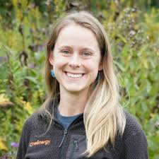 Our Team of Professionals