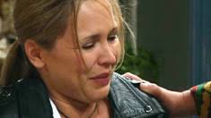 Neighbours: The Perfect Blend