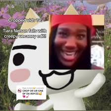 Replying to @keish🤧 i made it actually🥰#memes #cropped #croppedvids  #floptok #