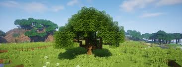 The purposes of this sub are to help one another identify tree species and their diseases/conditions, provide advice and to appreciate photos of. Dynamic Trees Mods Minecraft Curseforge
