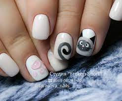 651 kedveles 5 hozzaszolas nailstudiya akademgorodok vz freken snork studio instagram hozzaszolasa gracioznye ko shellac nail art animal nails cat nails