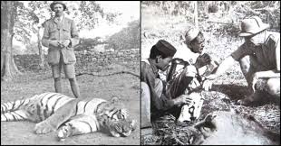 Tiger – A Living Heritage of India ...
