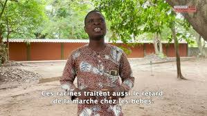 Image result for Lecaniodiscus