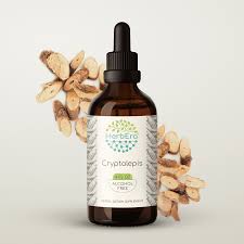 Image result for Cryptolepis