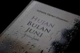 Hujan Bulan Juni Hayuno Sakura