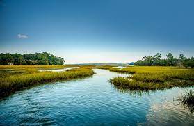 South Carolina Low Country One Of My Favorite Places Landscape Landscape Reference Landscape Photography