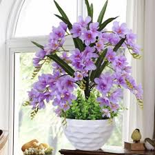 Orkid ped çeşitleri sızıntı koruması ve pamuksu dokusuyla kendinizi güvende hissetmenize yardımcı olur. Bunga Orkid Gubahan Meletup Orchid Fake Flower Shopee Malaysia