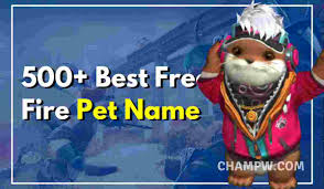 If you would like to learn more about creating names for free fire you can visit this website where they help you create your own nicknames for free fire very original. 500 Best Free Fire Pet Name You Should Not Miss In 2021