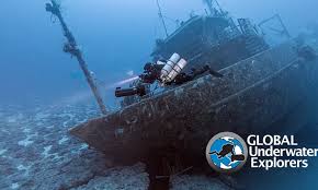 Image result for Red Marina 1992 UMM