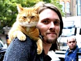 Homeless man and cat become best sellers