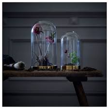 Begavning Glass Dome With Base Height 10 Ikea Glass Domes Ikea Decorative Accessories