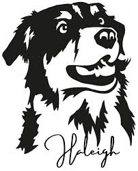 Find us at 1501 w. Our Team In Coeur D Alene Id Lake City Pet Hospital