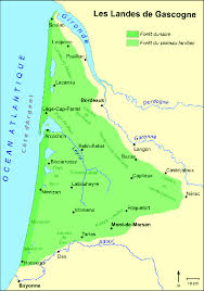 Les archives départementales des landes accueilleront l'exposition les landes, une forêt elle s'accompagne de documents et témoignages inédits provenant du sdis 40, de bandes sonores. Cartographie Representant Les Deux Entites De La Foret Des Landes De Download Scientific Diagram