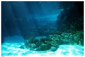 Underwater Ocean Floor Light By Della Stock On Deviantart Ocean Landscape Ocean Sea Life Animals