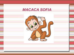 Resultado de imagem para MACACA SOFIA