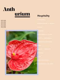 Bird Of Paradise Flower Meaning The Meaning Behind Every Flower Decoded Flower Meanings Plant Meanings Paradise Plant