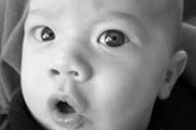 Odin Zenith Modec new arrival