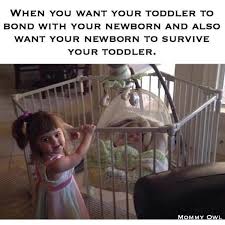 20 Toddler Memes That Sum Up What It S Like To Parent A Toddler Funny Parenting Memes Toddler Humor Mom Memes