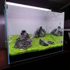 Awesome Simple Nanoscape Iwagumi Style All Credit To 3s Ten On Instagram As The Owner Of This Content Tank Design Aquarium Design Nature Aquarium